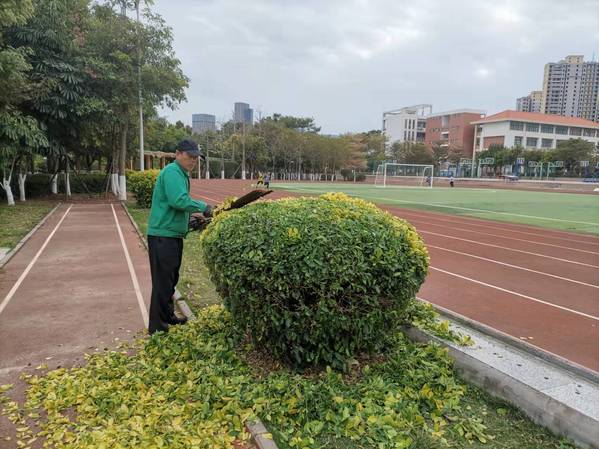 南强物业绿化忙   不负春日好时光