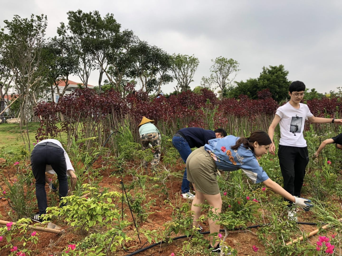 “劳动最光荣”——海洋与地球学院以劳动教育筑牢立德树人之基