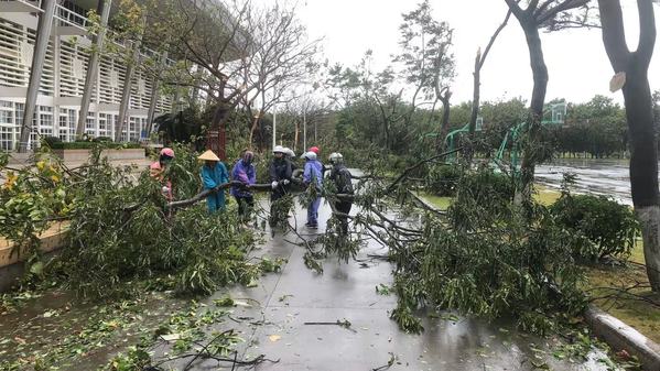 集团上下齐心协力    全力投入抗击台风