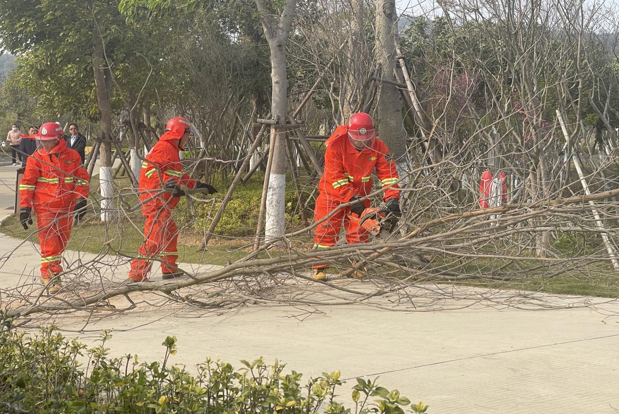 防台防汛，常备不懈——集团翔安校区服务办各部门积极参加校区应急抢险演练
